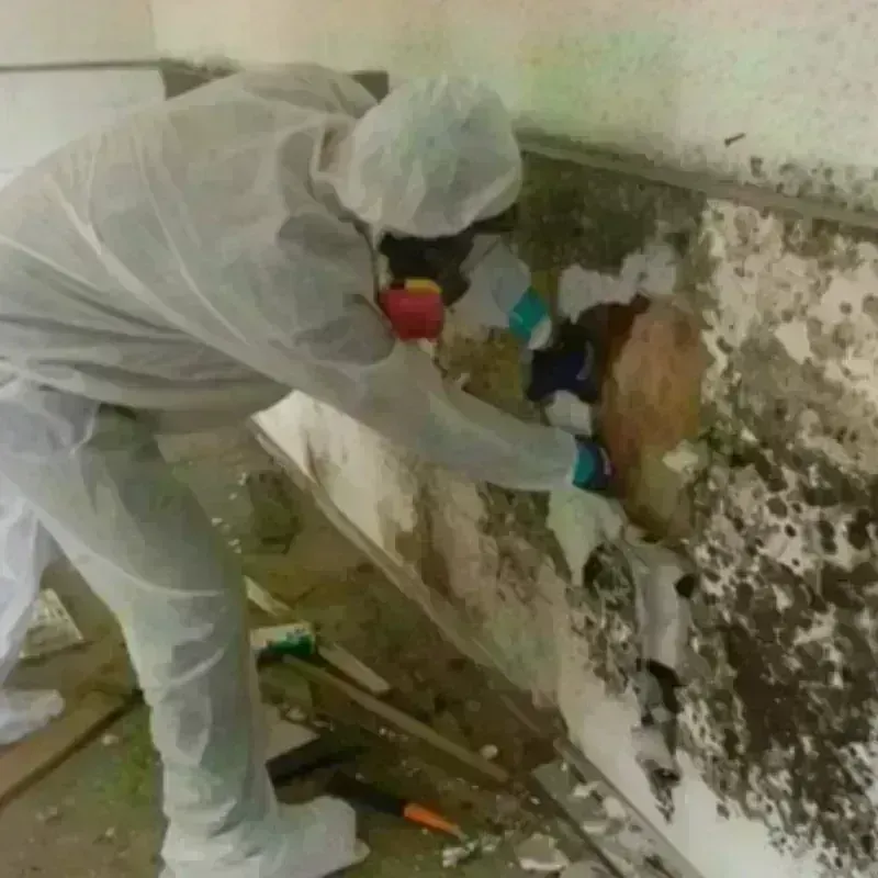 Mold Remediation and Removal in Fishkill, NY